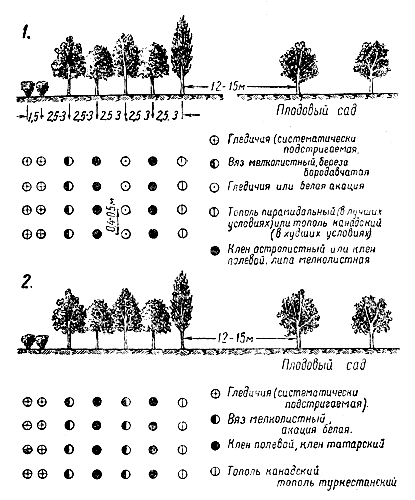 Рис. 2. Схемы садозащихных полос-опушек: 1 — для обыкновенных, приазовских и предкавказских черноземов; 2 — для южных черноземов и каштановых почв 
