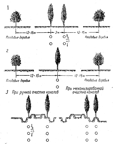  Рис. 3. Схемы ветроломных полос-линий: 1 и 2 — в неорошаемых условиях; 3 — у распределительных каналов. Рекомендуемые для этих схем породы: тополь пирамидальный (в лучших условиях), тополь туркестанский, тополь канадский, вяз мелколистный 